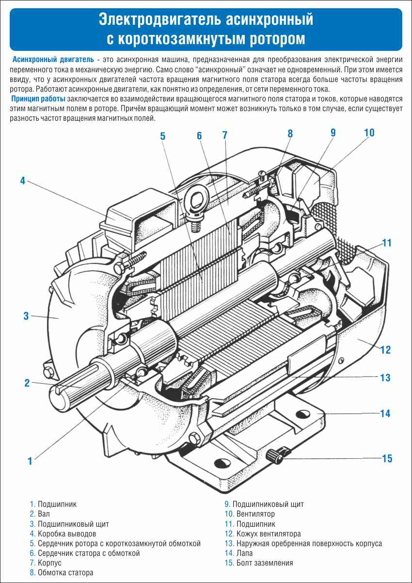 Выберите схему асинхронного электродвигателя с короткозамкнутым ротором